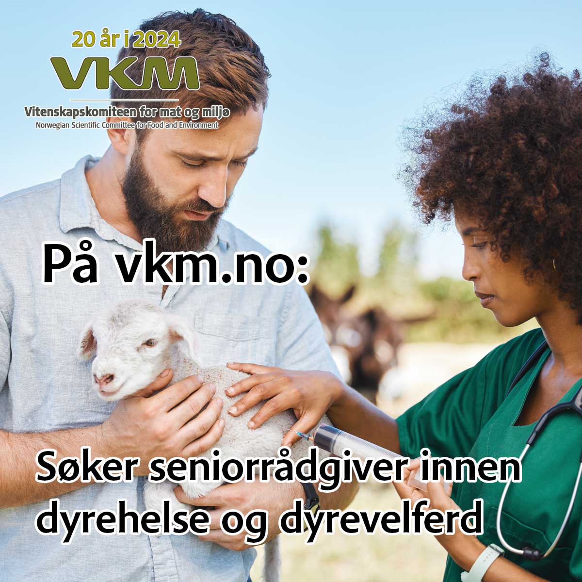 veterinærfoto, tekst søker seniorrådgiver innen dyrehelse og dyrevelferd