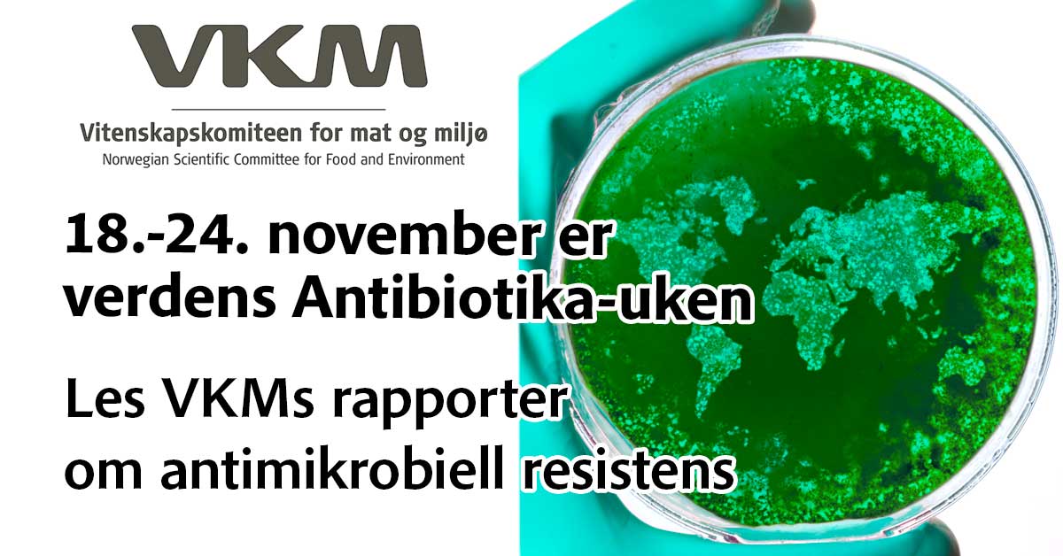 antimikrobiell resistens uke 18-24 november
